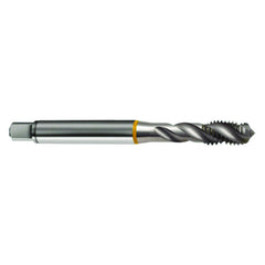‎M3.5 × 0.6 3FL 6H Cobalt Spiral Flute Semi-Bott Ylw Ring Tap-Bright-40 Degree Helix - Exact Tool & Supply
