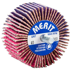 Merit Abrasives - 2 x 1" 40 Grit Ceramic Alumina Unmounted Flap Wheel - Exact Tool & Supply