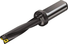 Sandvik Coromant - 114.459mm Max Drill Depth, 5xD, 7/8" Diam, Indexable Insert Drill - 2 Inserts, 1" Shank Diam, Straight Shank - Exact Tool & Supply