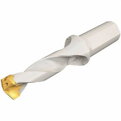 Iscar - 19 to 19.9mm Diam, 3xD, 57mm Max Depth, 25mm Shank Diam, 140.8mm OAL, Replaceable Tip Drill - IDK, IDM, IDN, IDP Insert, 19 Seat Size, DSM Toolholder, Series ChamDrillJet - Exact Tool & Supply