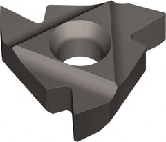 Vargus - Laydown Threading Insert - Exact Tool & Supply