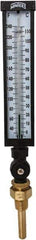 Winters - 30 to 240°F, Industrial Thermometer with Standard Thermowell - 3 Inch Immersion Length, 3-1/2 Inch Stem Length, 17 Inch Long, 3/4 Inch Thread - Exact Tool & Supply