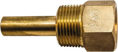 Winters - 3-1/2 Inch Overall Length, 3/4 Inch Thread, Brass Thermowell - 1-3/8 Inch Insertion Length - Exact Tool & Supply