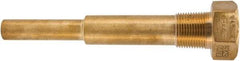 Winters - 6-3/4 Inch Overall Length, 3/4 Inch Thread, Brass Thermowell - 5 Inch Insertion Length - Exact Tool & Supply