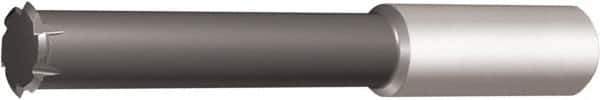 Vargus - 16 to 24 TPI, 1mm to 1.5mm Pitch, Internal Single Profile Thread Mill - 3/8" Noml Diam, 0.307" Cut Diam, 5/16" Shank Diam, 6 Flute, 1.26" Neck Length, 2.52" OAL, TiCN Finish - Exact Tool & Supply