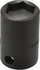 Proto - 3/8" Drive 13mm Standard Magnetic Impact Socket - 6 Points, 1-3/16" OAL - Exact Tool & Supply