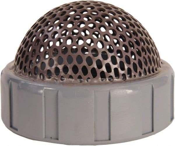 Hayward - 1-1/2" Hose, Foot Valve - CPVC - Exact Tool & Supply