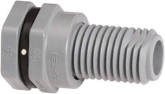 Hayward - 2" CPVC Plastic Pipe Bulkhead Tank Adapter - Schedule 80, Thread x Thread End Connections - Exact Tool & Supply