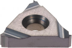 Carmex - Laydown Threading Insert - Exact Tool & Supply