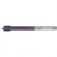 Emuge - Extension Taps Thread Size: M30x3.5 Overall Length (mm): 270.00 - Exact Tool & Supply