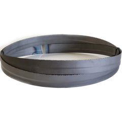 Supercut Bandsaw - Welded Band Saw Blades; Blade Material: High Speed Steel ; Tip/Edge Material: None ; Tooth Material: High Speed Steel ; Blade Length (Feet): 9' 11-1/2" ; Teeth Per Inch: 10-14 ; Blade Width (Inch): 1 - Exact Tool & Supply