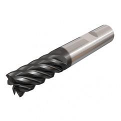 ECH120B256C12 IC903 END MILL - Exact Tool & Supply