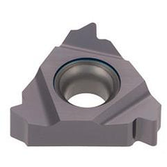 16ER10RAPI AH725 TUNGTHRD INS LD G - Exact Tool & Supply