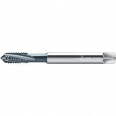 Walter-Prototyp - Spiral Flute Tap - - Exact Tool & Supply