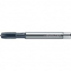 Walter-Prototyp - Spiral Point Tap - - Exact Tool & Supply