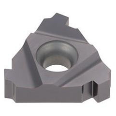 22ER5BAPI AH725 TUNGTHREAD INS LD G - Exact Tool & Supply