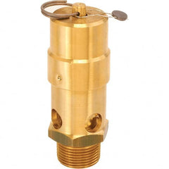 Control Devices - 1" Inlet, ASME Safety Valve - Exact Tool & Supply