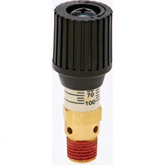 Control Devices - 1/4" Inlet, ASME Safety Valve - Exact Tool & Supply