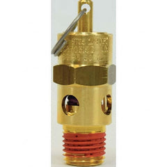 Control Devices - 1/4" Inlet, ASME Safety Valve - Exact Tool & Supply