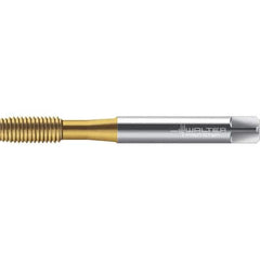 Walter-Prototyp - M6x1.00 DIN 2174 6GX 5.590 Thread Limit Semi-Bottoming Thread Forming Tap - Powdered Metal High Speed Steel, TiN Finish, 80mm OAL, 10mm Thread Length, Right Hand Thread, Series TC420 - Exact Tool & Supply