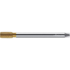 Walter-Prototyp - M10x1.50 ~DIN 376 XL 6HX 9.370 Thread Limit Semi-Bottoming Thread Forming Tap - Powdered Metal High Speed Steel, TiN Finish, 200mm OAL, 15mm Thread Length, Right Hand Thread, Series TC420 - Exact Tool & Supply