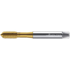 Walter-Prototyp - M10x1.50 DIN 2174 6HX 9.380 Thread Limit Semi-Bottoming Thread Forming Tap - Powdered Metal High Speed Steel, TiN Finish, 100mm OAL, 15mm Thread Length, Right Hand Thread, Series TC430 - Exact Tool & Supply