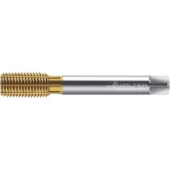 Walter-Prototyp - M14x1.50 DIN 2174 6HX 13.370 Thread Limit Semi-Bottoming Thread Forming Tap - Powdered Metal High Speed Steel, TiN Finish, 100mm OAL, 15mm Thread Length, Right Hand Thread, Series TC420 - Exact Tool & Supply
