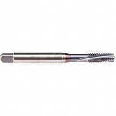 Emuge - #2-56 UNC 3B 2 Flute TiCN Finish Cobalt Spiral Point Tap - Exact Tool & Supply