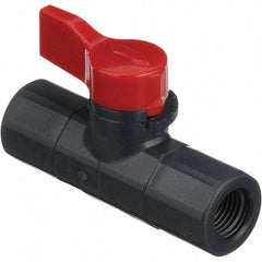 Asahi/America - 1/4" Pipe, Full Port, PVC Ball Valve - 1 Piece, FNPT x FNPT Ends, Tee Handle, 150 WOG - Exact Tool & Supply