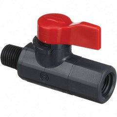 Asahi/America - 1/4" Pipe, Full Port, PVC Ball Valve - 1 Piece, MNPT x FNPT Ends, Tee Handle, 150 WOG - Exact Tool & Supply