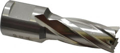 Hougen - 9/16" Diam x 1" Deep High Speed Steel Annular Cutter - Exact Tool & Supply