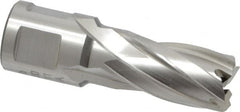 Hougen - 5/8" Diam x 1" Deep High Speed Steel Annular Cutter - Exact Tool & Supply