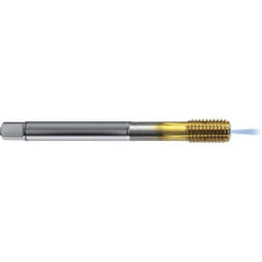 Guhring - 3/8-16 UNC 2BX H8/H9 Thread Limit Bottoming Thread Forming Tap - High Speed Steel, TiN Finish, 3.937" OAL, Right Hand Thread, Series 4383 - Exact Tool & Supply