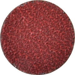 Norton - 2" Disc Diam, 36 Grit, Ceramic Alumina Quick Change Disc - Type R Attaching System, Coated, Red, Very Coarse Grade, 25,000 RPM, R983 Series - Exact Tool & Supply