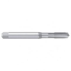 12–24 UNC–2B REK.1DRS-OLN Thread Forming Tap - Exact Tool & Supply