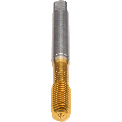 ‎LK 3/8-24 SELFLOCK/RLFORM - Exact Tool & Supply