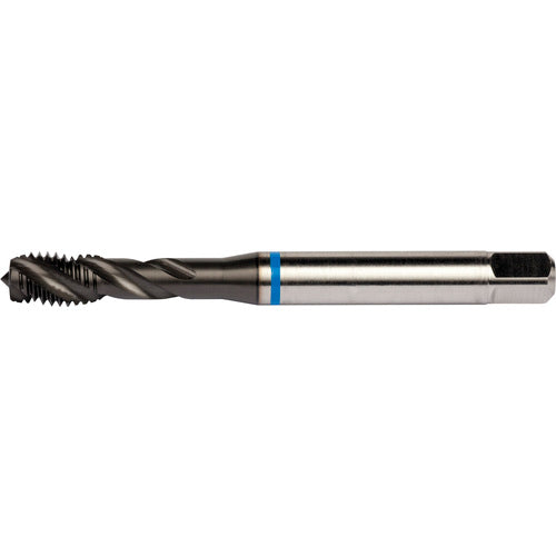 M24x3.0 HSS-E PM 4 Flute 6H 40 Degree Blue Shark Machine Tap Spiral Flute-Super-B E-code # E628M24 - Exact Tool & Supply
