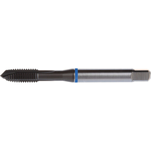 M24x3.0 4 Flute 6H HSS-E PM DIN ANSI Machine Tap - Blue Shark for Stainless Steel - Plug Style E-code # E629M24 - Exact Tool & Supply