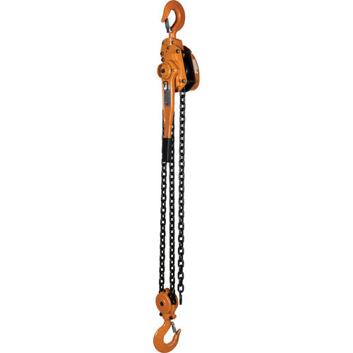Economy Lever Hoist 12K Capacity 5 Ft - Exact Tool & Supply