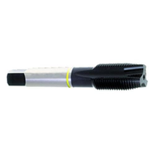 ‎M12 × 1.75 Dia-D6-3 FL-Std Spiral Point Tap-Yellow Ring - Exact Tool & Supply