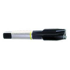 ‎10-32 Dia-H3-2 FL-Std Spiral Point Tap-Yellow Ring - Exact Tool & Supply