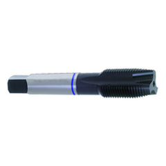 ‎M4 x .70 Dia-D4-2 FL-Std Spiral Point Tap-Blue Ring - Exact Tool & Supply