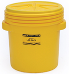 20GAL LAB PACK W/SCREW TOP LID - Exact Tool & Supply