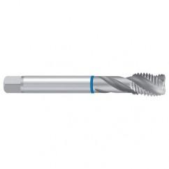 G 1/8 ISO 228 2ENORM-VA Sprial Flute Tap - Exact Tool & Supply