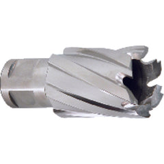 ‎5/8″ Dia-3/4″ Max Depth of Cut - M42 - Annual Cutter - Exact Tool & Supply