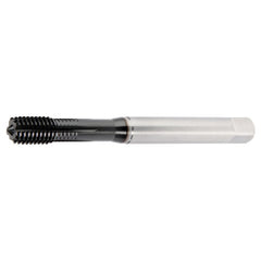 GT225020 M8X1.25 6HX FT SBOT 2174 - Exact Tool & Supply