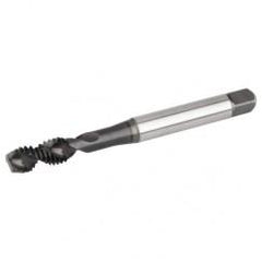GT825041 M6X1 D5 2FL RHSF SBOTDIN A - Exact Tool & Supply