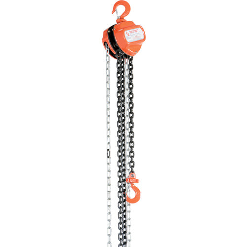 Manual Chain Hoist 1K Capacity 20 Ft - Exact Tool & Supply