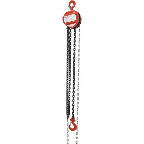 Manual Chain Hoist 3K Capacity 10 Ft - Exact Tool & Supply