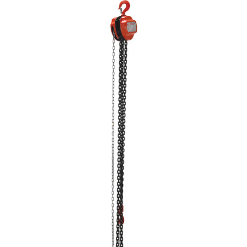 Manual Chain Hoist 3K Capacity 20 Ft - Exact Tool & Supply